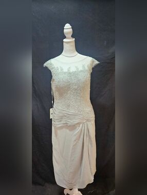 Elegant Light Grey Lace Overlay Evening Dress